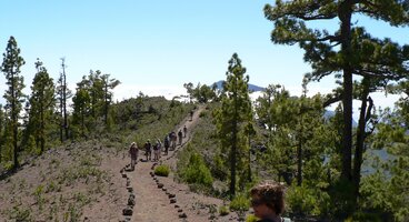 Lanzarote, Tenerife & La Palma