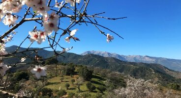 Sierra de las Nieves