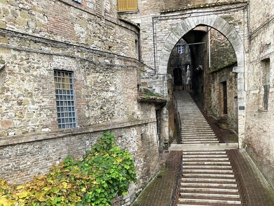 Bending stone stairway in street with green bushes growing on side of stone building, Perugia, Italy
