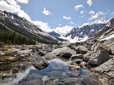 End of Consolation Trail, Consolation Lake, Banff, Alberta, Canadian Rockies, Canada