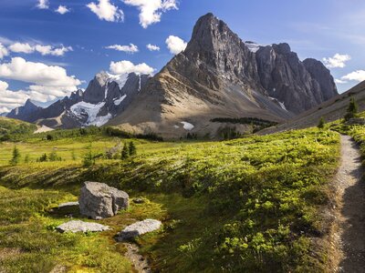 Green Alpine Meadows and Rockwall Mountain Peak Cliffs hiking trail, Kootenay National Park, Canada