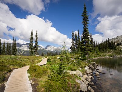 Bending pathway next to lake on High Note Trail, Whistler, British Columbia, Canada