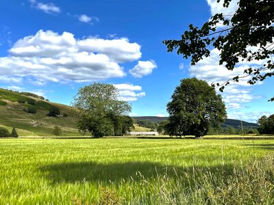 Rural landscape with green fields and hills, close to the village of Ramsgill, Pateley Bridge, UK