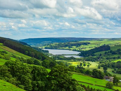 Gouthwaite Reservoir, Nidderdale in Summertime with lush green fields, forests and livestock, Yorkshire Dales