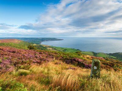 Summer on the North York Moors national park in Yorkshire, from Ravenscar looking out to Robin Hood's Bay