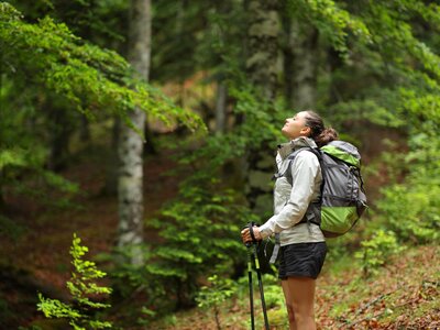 Female hiker in a forest breathing fresh air standing alone with birch trees in background