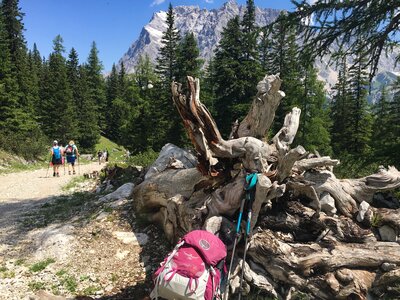Two hikers trekking downhill past pine trees with Zugspitz beyond treeline, Austria 