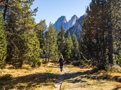 Young hiker woman walking down dirt pathway through pine tree woodlands in autumn in Aiguestortes and Sant Maurici National Park, Pyrenees, Spain
