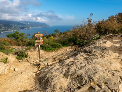 Trail path through Mesco Mount, Cinque Terre National Park and coastal area in background, Liguria, Italy