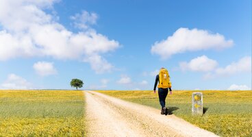 Walking the Camino de Santiago from Sarria - Last 100km (Self-Guided)