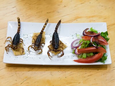 Mexican delicacy scorpion dish San Juan Market