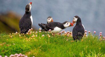 The Shetland Archipelago