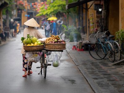 Local pushing bicycle through streets of Hoi ASN, Vietnam, loaded with fruit and vegetables