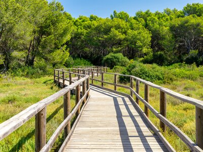Raised wooden platform pathway over marshland in Natural Park of S´Albufera des Grau, Menorca, Spain