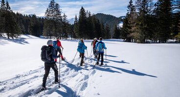Northern Lights and Snowshoeing Delights Cruise 