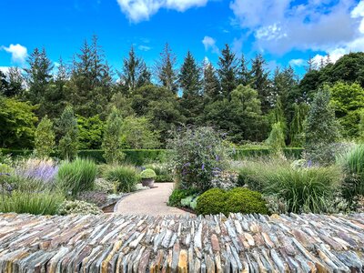 RHS Rosemoor Garden, Devon in summer