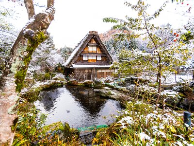 Gokayama Thatched Village with snow covering roof and plants, Japan.jpg