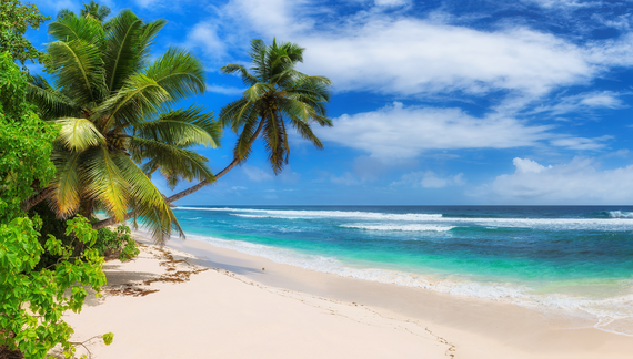 Paradise Sunny beach with palms and turquoise sea - Summer tropical beach