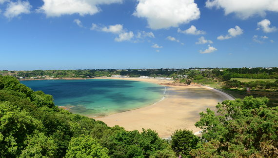 Sunny picturesque view of beach with clear blue waters and green trees and grass surrounding, Jersey, Channel Islands, UK