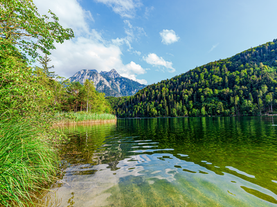 Calm Lake Schwanensee in Schwangau on summer's day with mountain in distance, Bavaria, Germany, Europe