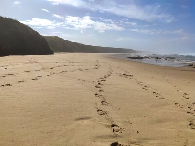 Wonderful landscape along the Fisherman's trail, Portugal