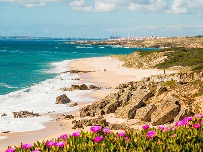 Landscape of Porto Covo beach with vibrant wildflowers in foreground, Portugal