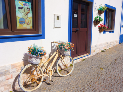 Rustic bicycle with colourful flowers in its baskets against wall, Porto Covo, Portugal