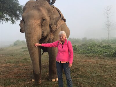Ramble Worldwide walking holiday leader Avril McAllister standing by elephant in Asia
