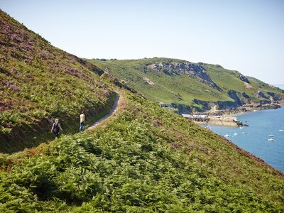Two hikers following coastal edge side of hill with green plants growing in abundance, North Coast of Jersey on sunny day