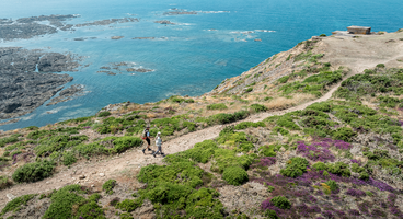 Jersey Tidal Trail