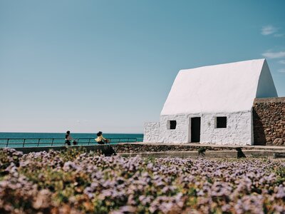 White house on coast at St Ouen's Bay with purple wildflowers in foreground, Jersey