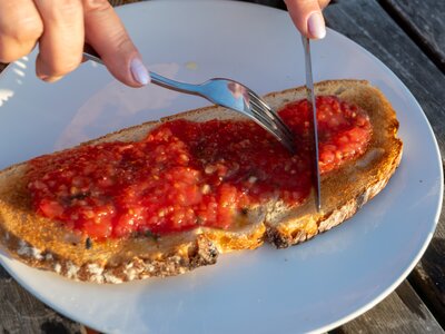 Traditional Andalusian breakfast tomatoes on toast with olive oil