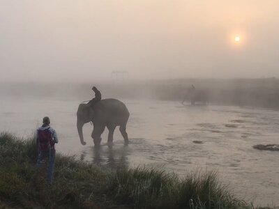 Ramble Worldwide leader Avril McAllister standing by elephant crossing river on hazy morning in Asia