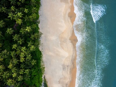 Aerial beach scenery from Kerala, Beautiful blue waves with coconut trees, tropical beach landscape