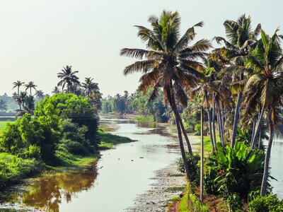 Backwater stretches of Kerala, Kumarakom in Kottayam district, India