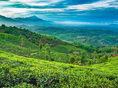 Beautiful landscape view from Wayanad, Kerala, India
