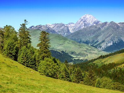Beautiful green mountain landscape with pine trees in foreground during sunny day in Pyrenees, Andorra