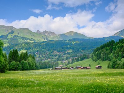 Charming alpine village in summer, surrounded by lush green meadows, towering Swiss Alps, and traditional wooden chalets, Les Diablerets, Switzerland