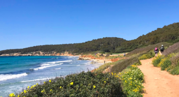 Coast & Countryside Of Menorca