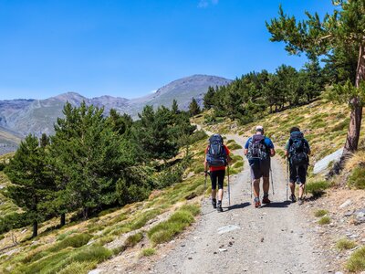Three hikers walking in the morning on the path that leads to Mulhacen, Andalucia, Spain