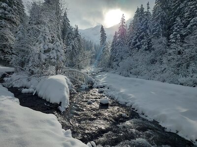 Cold river with sun shining over mountain through snow-covered pine trees, Winter Walks in Kandersteg, Swiss Alps