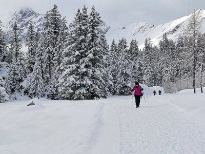 Lady walking along snow path, Winter Walks in Kandersteg, Swiss Alps