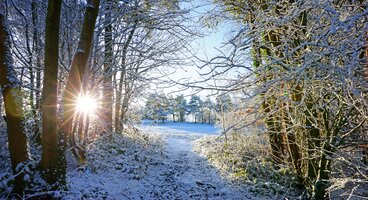 Christmas in Cambridgeshire