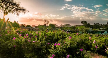 Mountains of Saudi Arabia