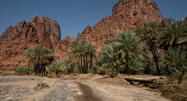 Highlights of Saudi Arabia