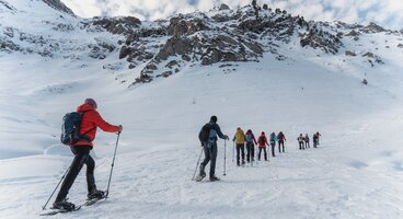 Northern Lights and Snowshoeing Delights Cruise 