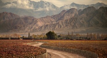 Lakes Glaciers and Mountains: Journey Through the Andes