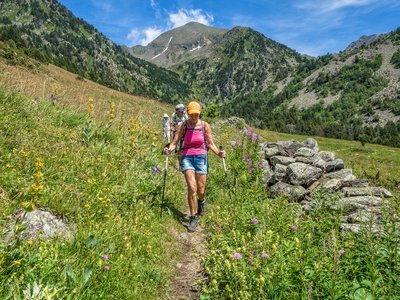 Lady leading gradual descent from Pic Serrera with tall grass and wildflowers growing on both sides of dirt pathway and mountains in background, Andorra, Europe