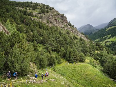 Ramble Worldwide group walking in line along grassy mountainside bending pathway with pine trees clustered nearby, Andorra