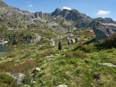 Walking group trekking through pleasant flowering grassy and rocky mountainous area near Juclar Lake, Col de Juclar, Andorra, Europe
